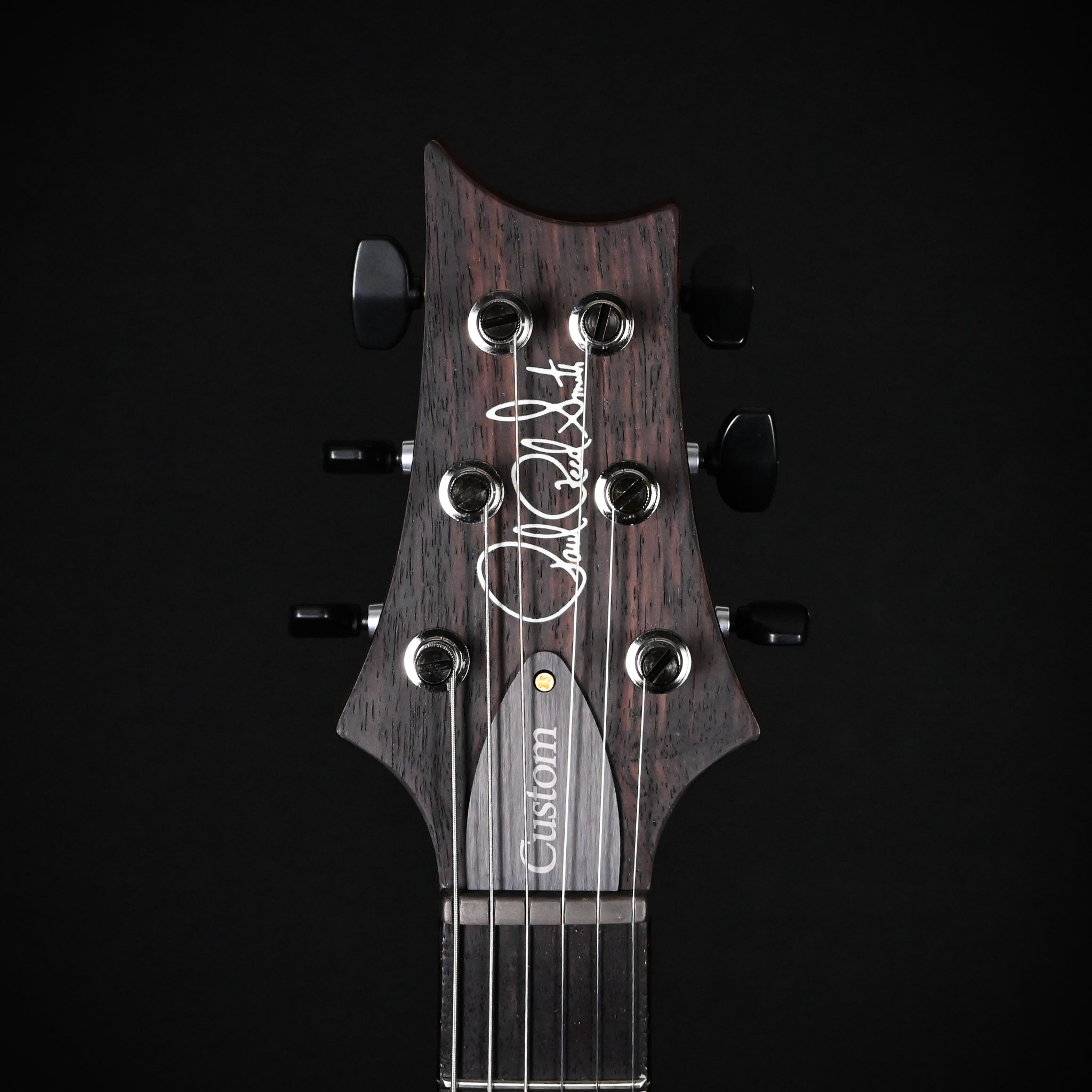 PRS Custom 24 w/ 10-Top & DMO Pickups- Custom Color 2026 (0422739)