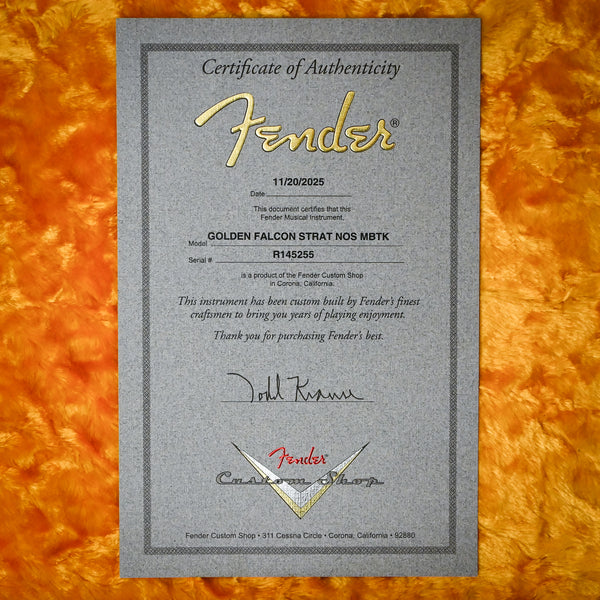 Fender Custom Shop Masterbuilt Todd Krause  Pamelina Artwork Golden Falcon Stratocaser (R145255)