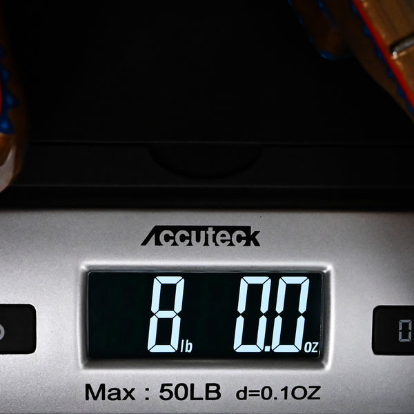 Fender Custom Shop Masterbuilt Todd Krause  Pamelina Artwork Golden Falcon Stratocaser (R145255)