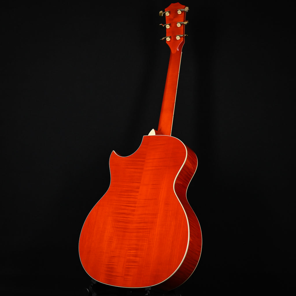 Taylor Doyle Dykes Signature Model w/ Sitka Spruce Top & Big Leaf Maple Back and Sides Acoustic/ Electric- Translucent Orange 2026 (1203096084)