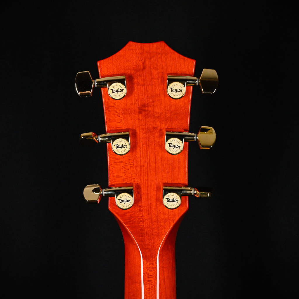 Taylor Doyle Dykes Signature Model w/ Sitka Spruce Top & Big Leaf Maple Back and Sides Acoustic/ Electric- Translucent Orange 2026 (1203096084)