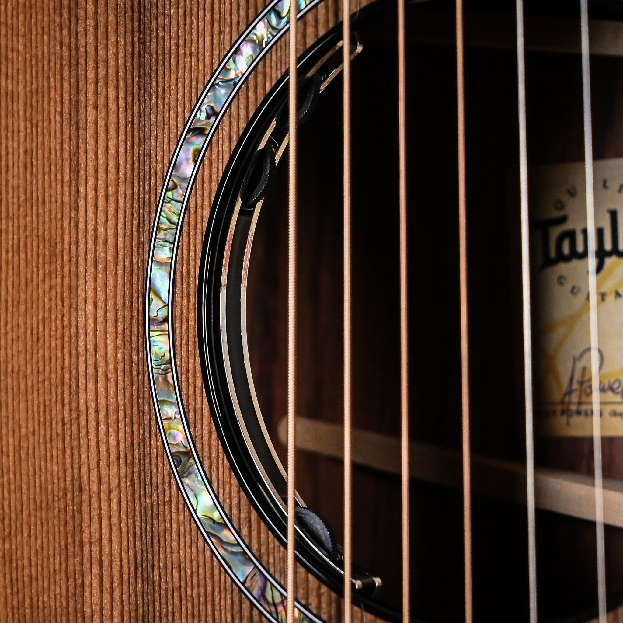 Taylor Next Generation PS14ce w/ Sinker Redwood Top & Honduran Rosewood Back and Sides Acoustic/ Electric 2026 (1203276088)