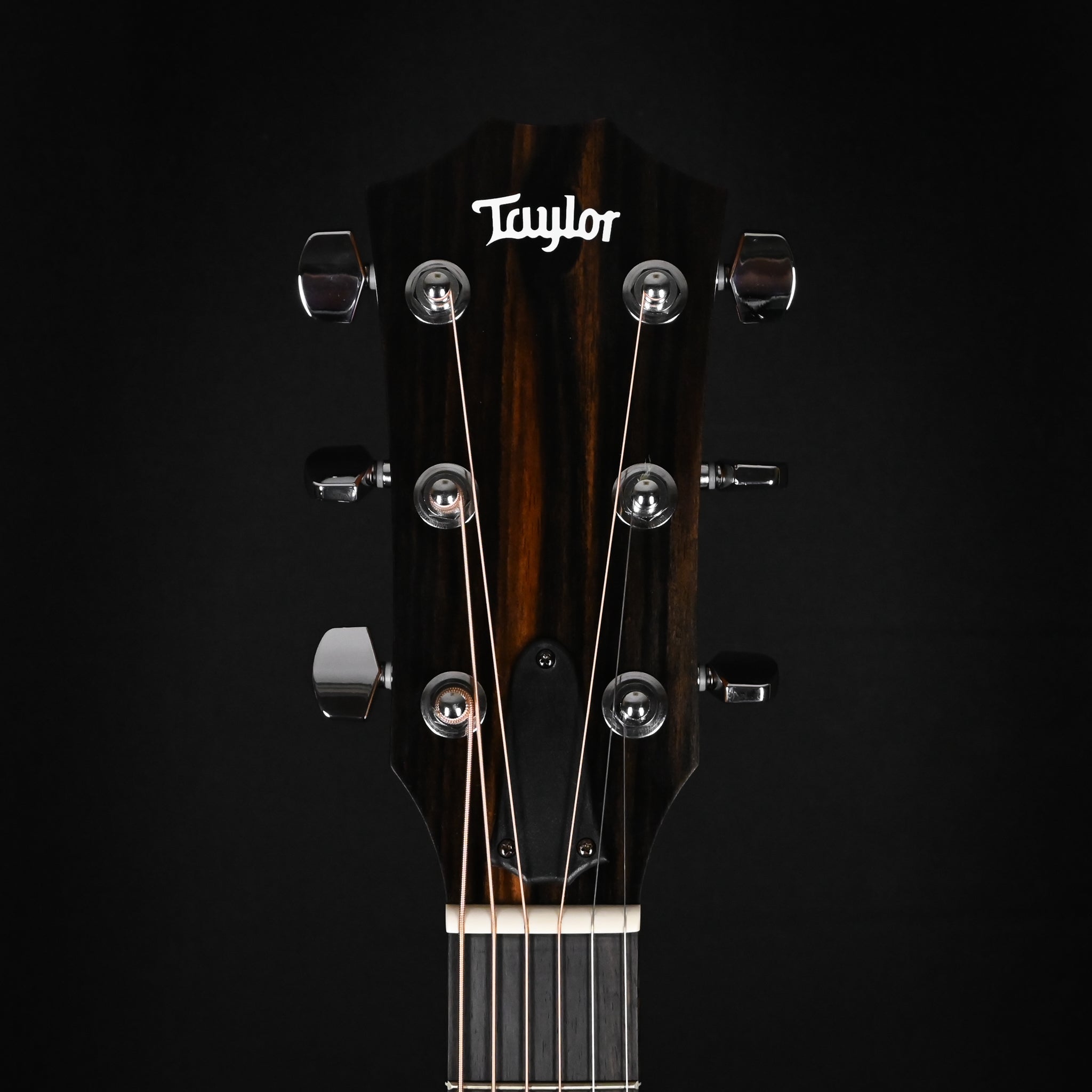 Taylor 214ce w/ Torrefied Spruce Top & Layered Walnut Back and Sides Acoustic/ Electric- Natural 2026 (2207236525)