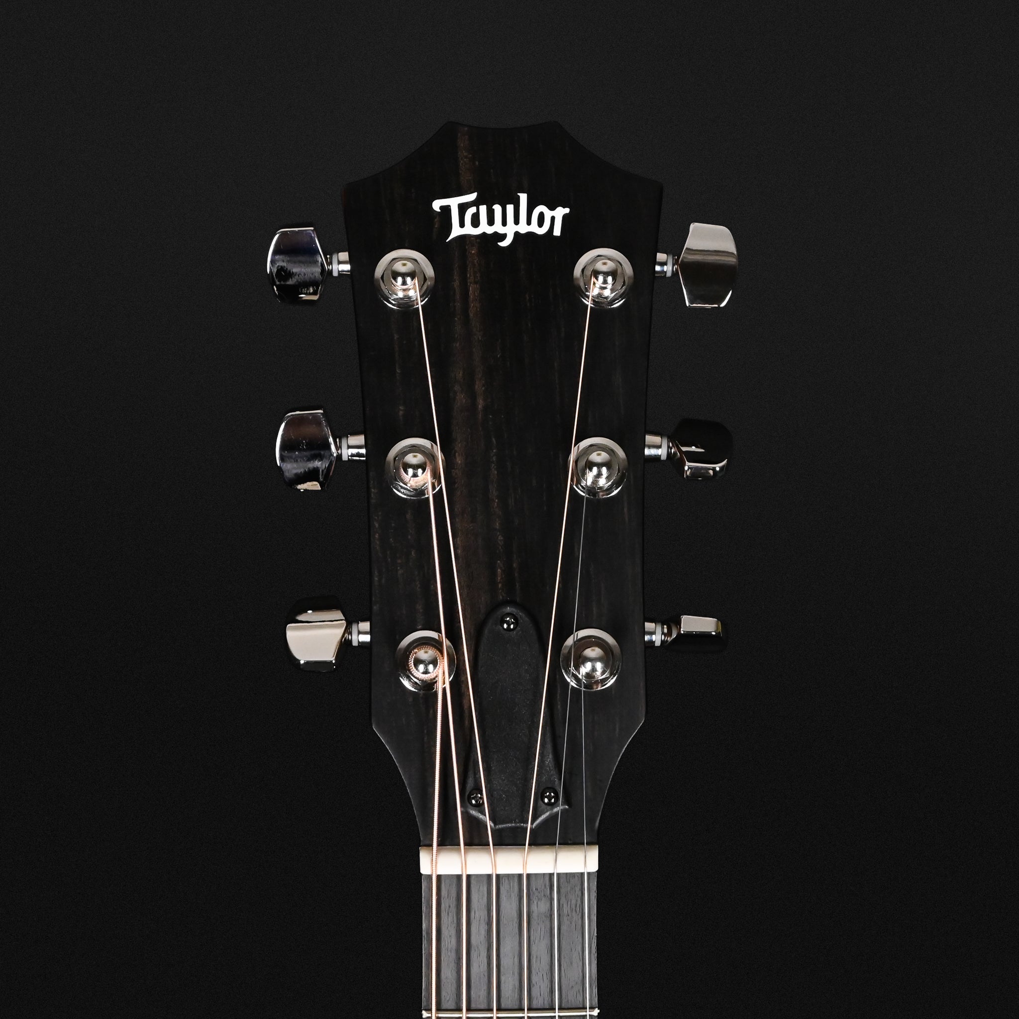 Taylor 314ce Studio Special Edition w/ Torrefied Spruce Top & Sapele Back and Sides Acoustic/ Electric- Blacktop 2026 (2207136760)