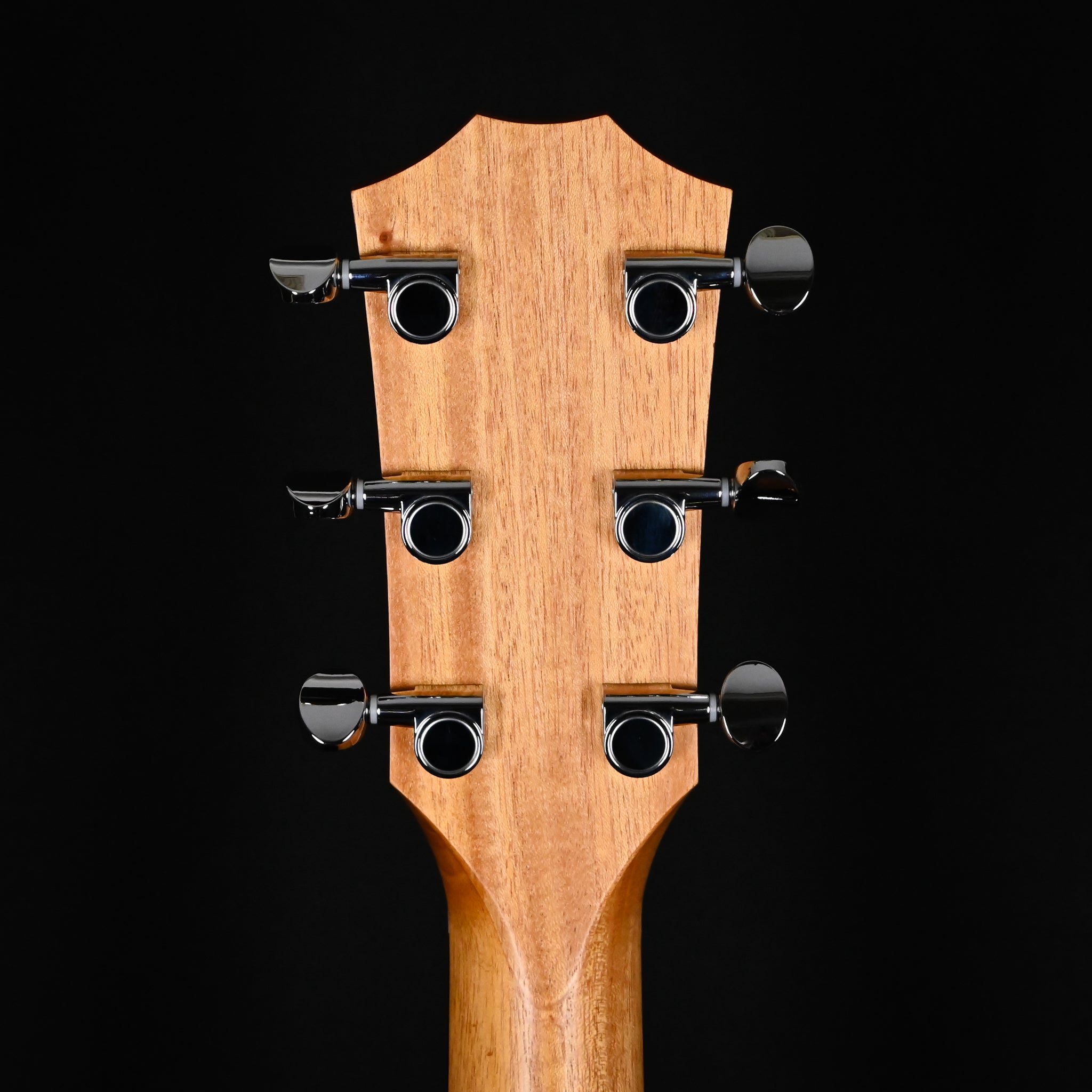 Taylor 14ce w/ Torrefied Spruce Top & Sapele Back and Sides Acoustic/Electric 2026 (2202116332)