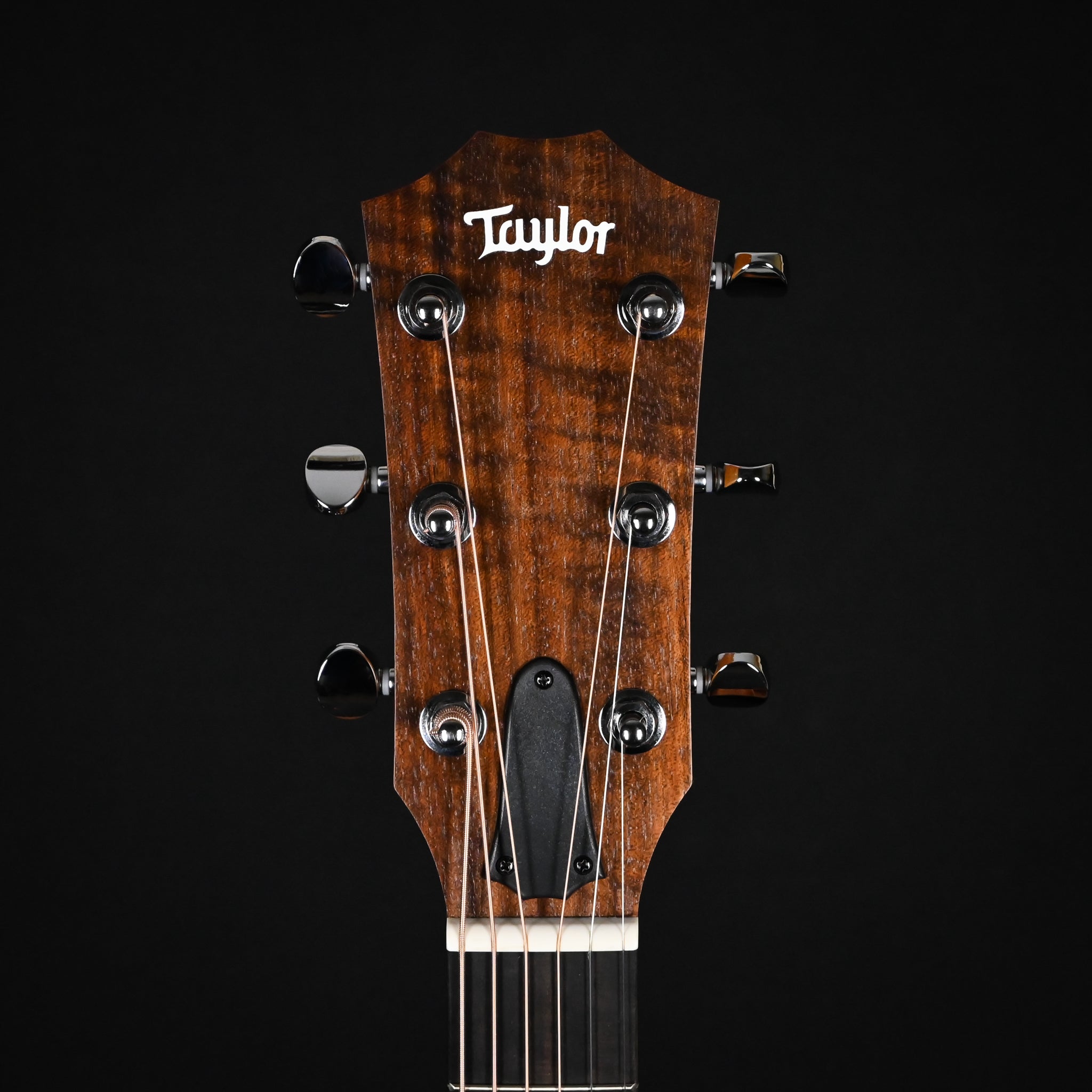 Taylor 14ce w/ Torrefied Spruce Top & Sapele Back and Sides Acoustic/Electric 2026 (2202116332)