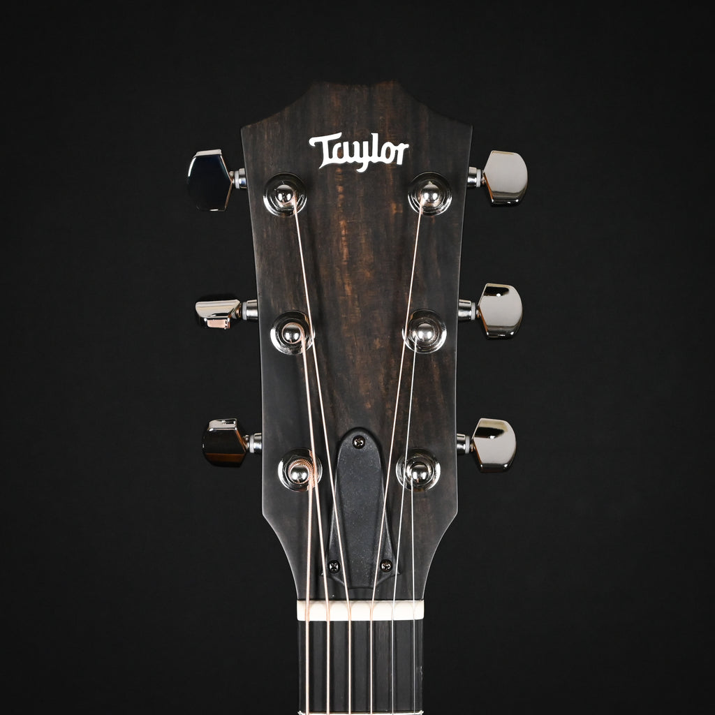 Taylor 414ce Studio w/ Torrefied Spruce Top & Indian Rosewood Back and Sides Acoustic/ Electric Guitar- SEB 2026 (2207276170)