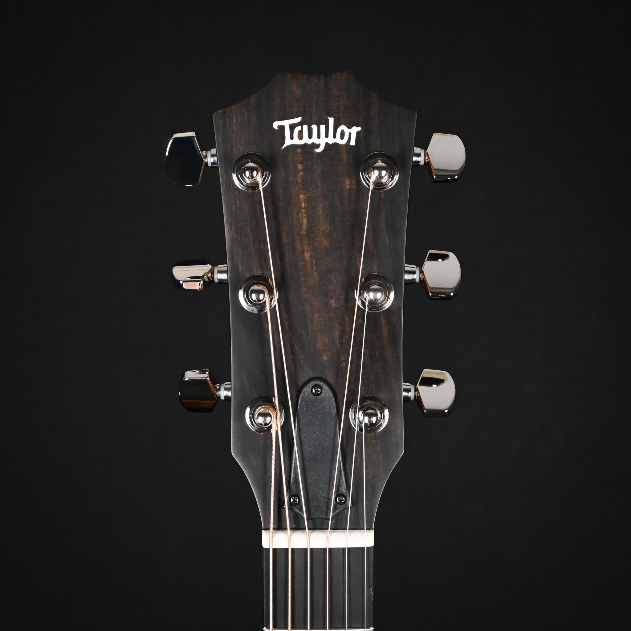 Taylor 414ce Studio w/ Torrefied Spruce Top & Indian Rosewood Back and Sides Acoustic/ Electric Guitar- SEB 2026 (2207276170)