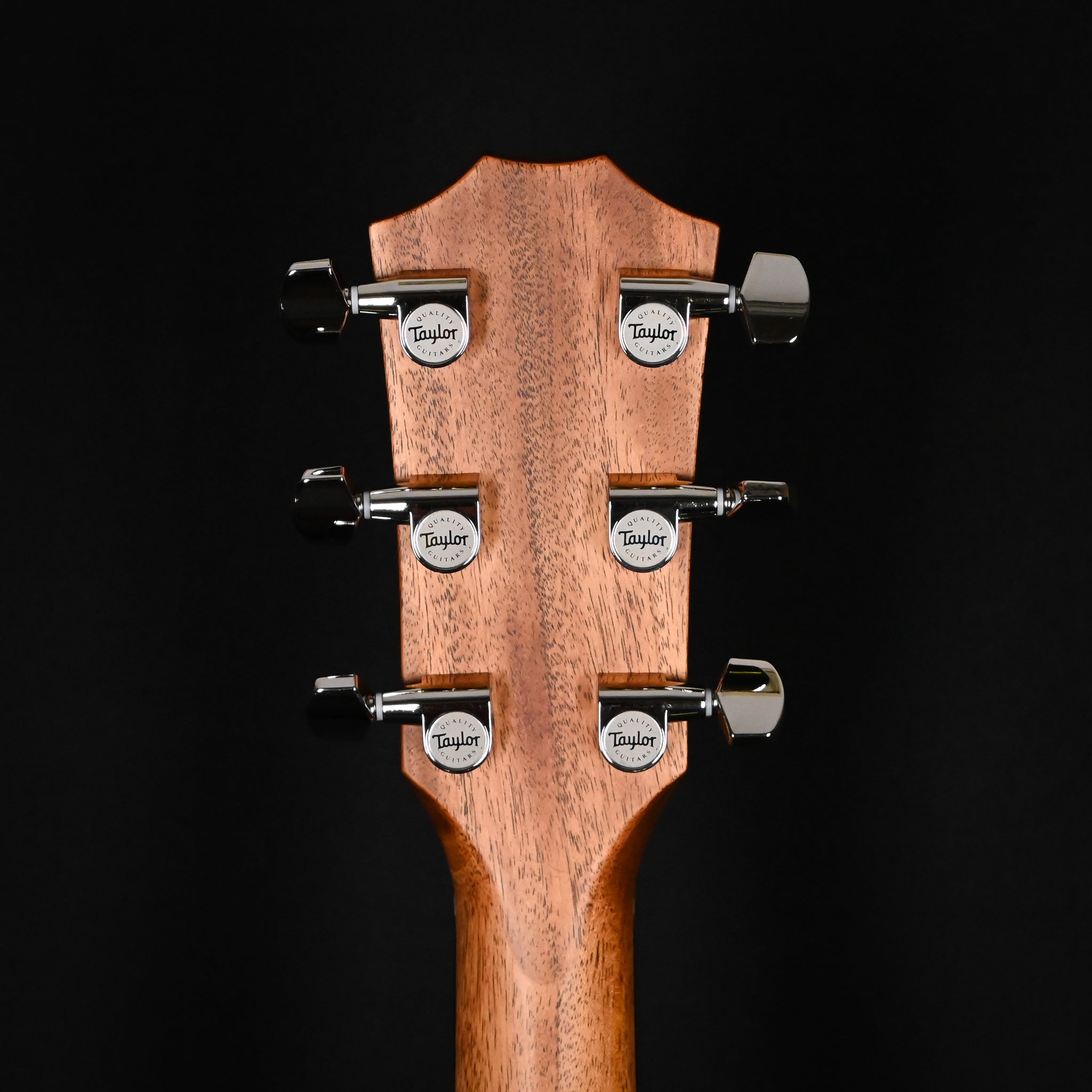 Taylor 414ce Studio w/ Torrefied Spruce Top & Indian Rosewood Back and Sides Acoustic/ Electric Guitar- SEB 2026 (2207276170)