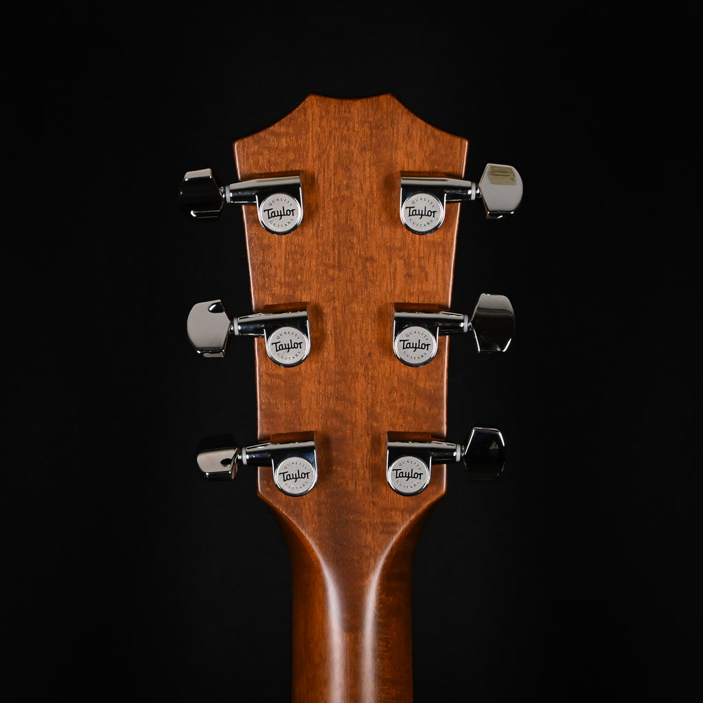 Taylor 514ce w/ Torrefied Spruce Top & Urban Ironbark Back and Sides Acoustic-Electric Guitar 2024 (1208224074)