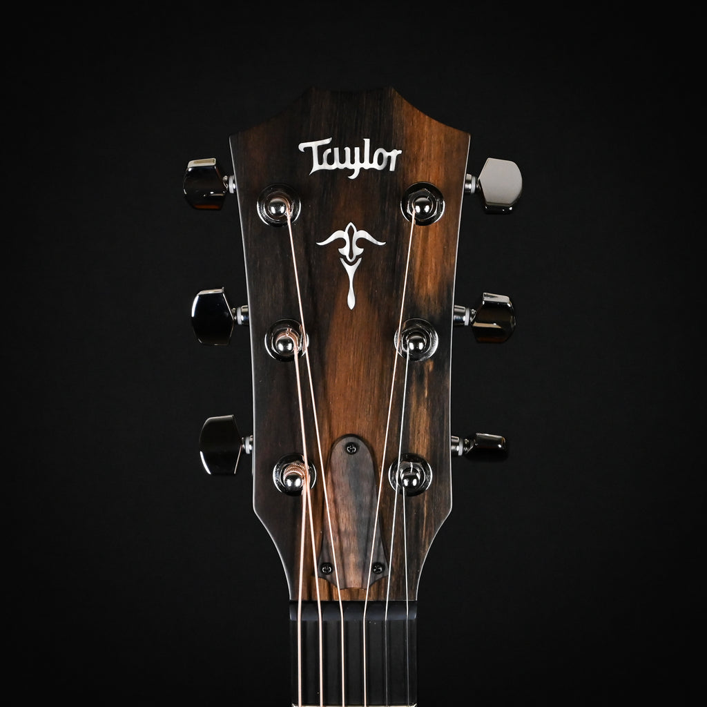 Taylor 514ce w/ Torrefied Spruce Top & Urban Ironbark Back and Sides Acoustic-Electric Guitar 2024 (1208224074)