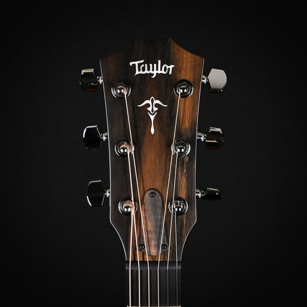 Taylor 514ce Torrefied Spruce Top/ Urban Ironbark Back & Sides Acoustic Guitar- Natural (1208224074)