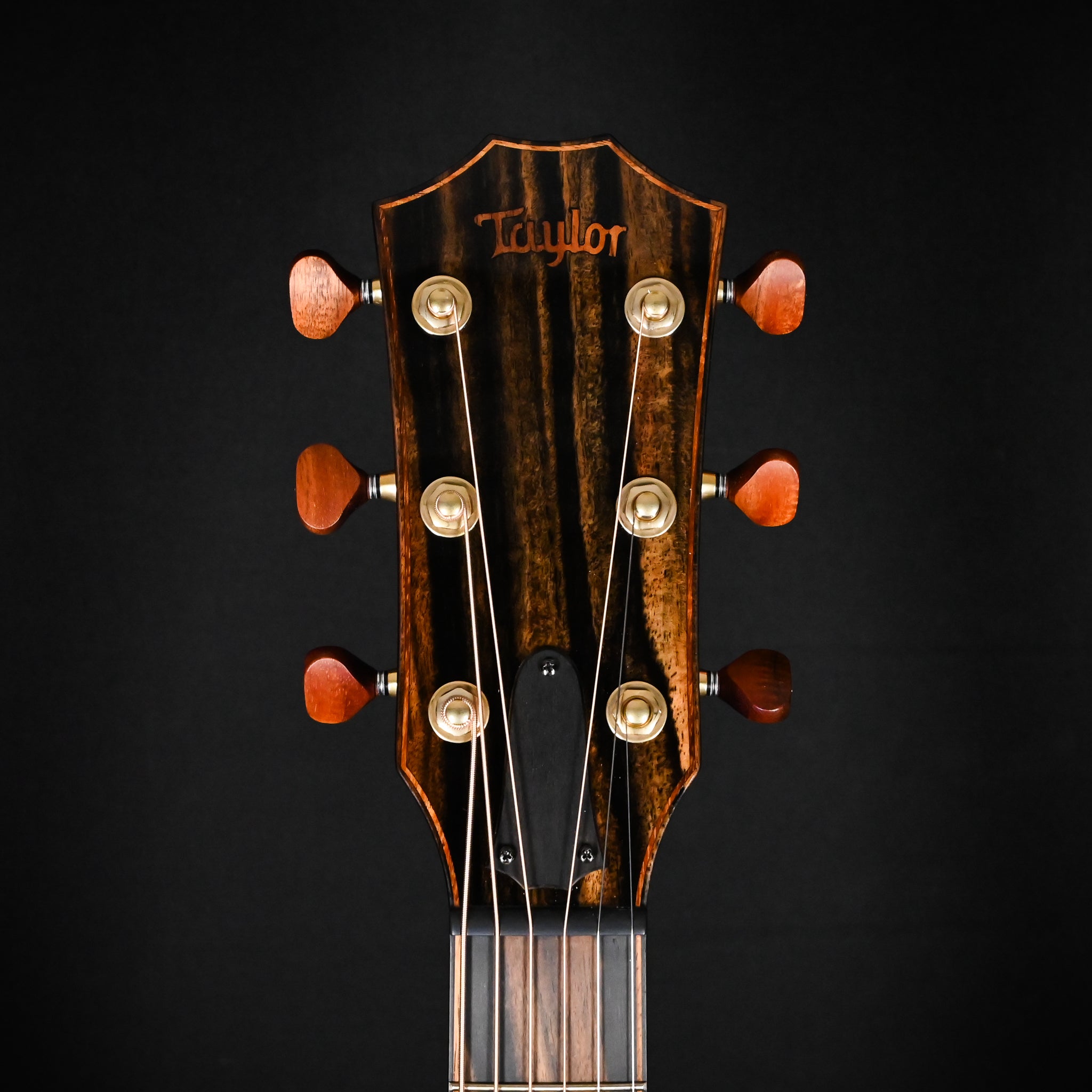 Taylor C24ce B6002 w/ Hawaiian Koa Top & Indian Rosewood Back and Sides Acoustic/ Electric 2026 (1202136087) Used-Mint