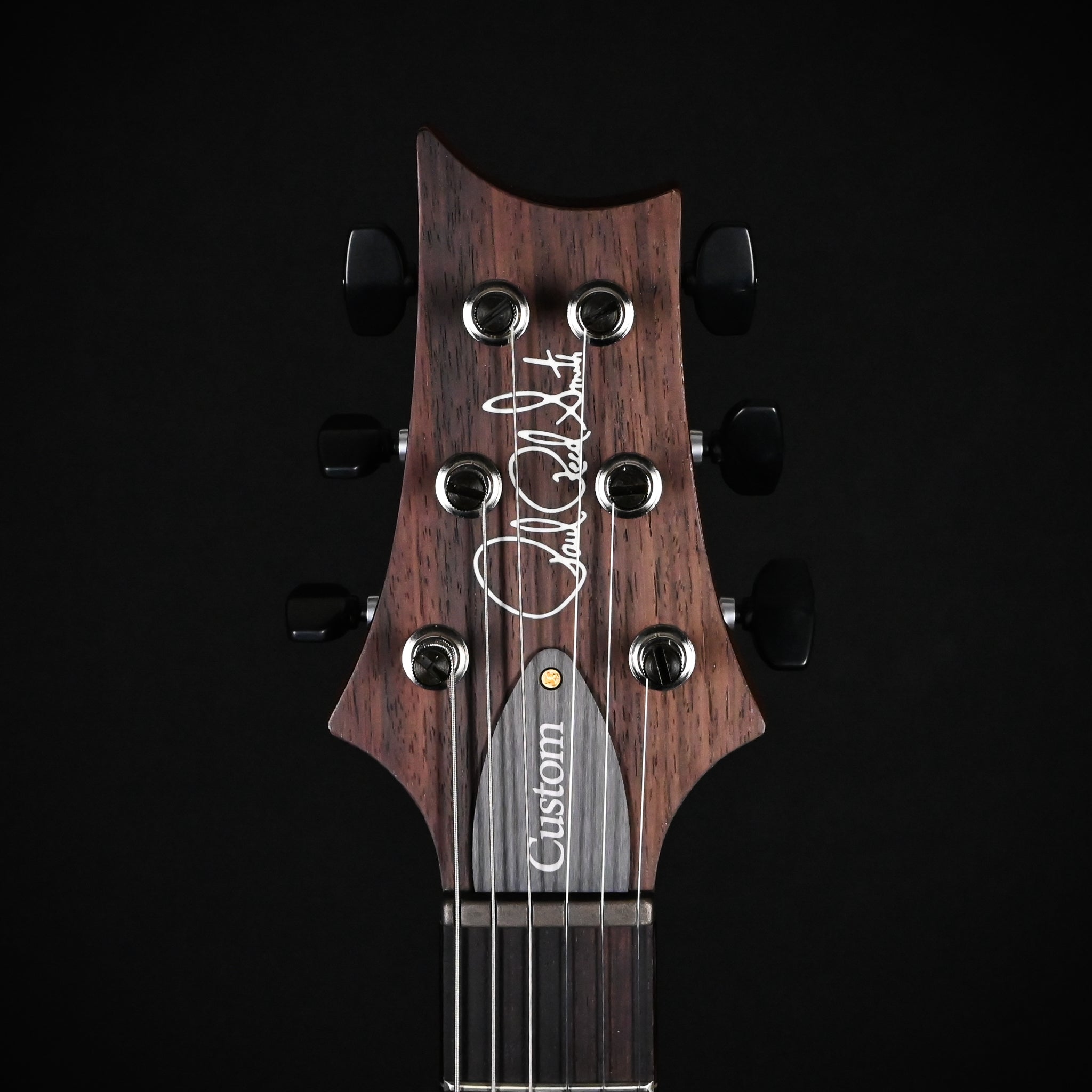PRS Custom 24 w/ 10-Top & DMO Pickups- Arctic Blue 2026 (0424145)