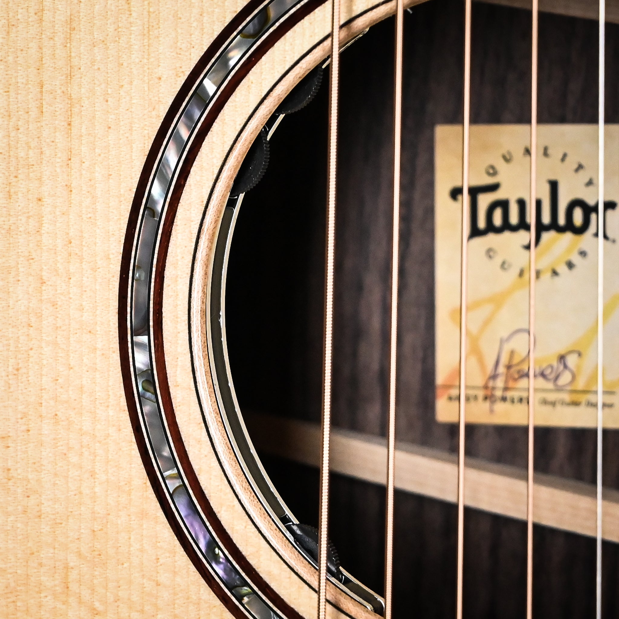 Taylor Next Generation 814ce w/ Spruce Top & Indian Rosewood Back and Sides, Acoustic/ Electric Guitar 2026 (1207206031)