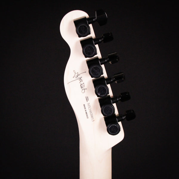 Fender Jim Root Telecaster Flat White (MX24020013)