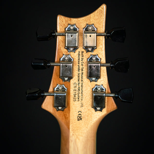 Paul Reed Smith PRS SE Zack Myers Myers Blue Flame Maple Rosewood Fretboard Semi-Hollow (CTIE19425)