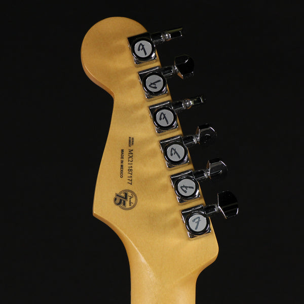 Fender Player Plus Stratocaster Pau Ferro Fingerboard Opal Spark (MX21187177)