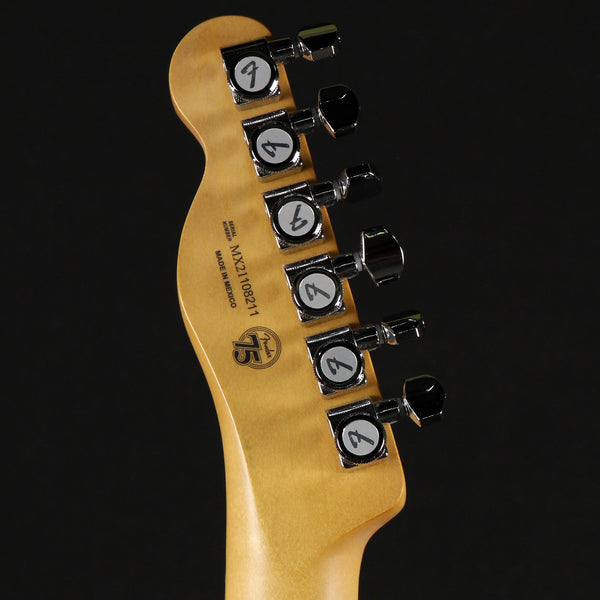 Fender Player Plus Telecaster Cosmic Jade Maple Fingerboard (MX21108211)